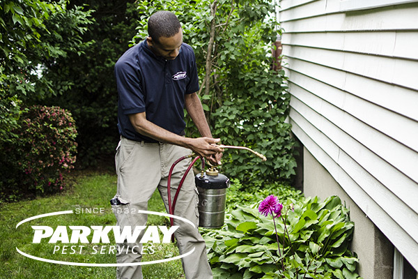  Profile Photos of Parkway Pest Services 10603 20 Haarlem Avenue, Suite 406 - Photo 6 of 9