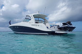Profile Photos of Cayman Watersports