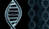 Profile Photos of Test Me DNA