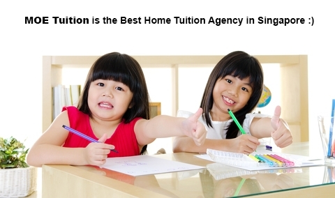  Profile Photos of MOE Tuition Agency 725 Bedok Reservoir Road - Photo 3 of 3