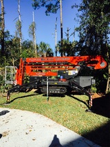 Big City Tree Service, Inc., Jacksonville