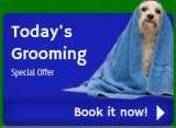 Monthly Grooming Deals K9 Dog Park 2750 Auto Park Way, STE 22 