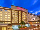  Sheraton Tampa Riverwalk Hotel 200 North Ashley Drive 