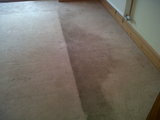  Carpet Bright UK - Oxford Office 17, 52 Cornmarket Street, 