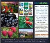 Pricelists of Liquid Fertilizer, Organic Naturally