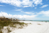 Siesta Key Beach is located on the gulf coast of Sarasota Florida with powdery sand. Recently rated the number 1 beach location in the United States. Shallow depth of field with focus on the grasses. Warren Beach Vacation Rentals & Property Management 854 North Walton Lakeshore Dr. 