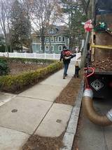 Seasonal and site cleanup services
