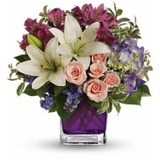  Same Day Flower Delivery Miami 10651 SW 76th Ave 