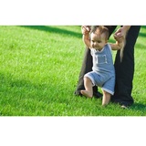 Profile Photos of 10X Turf Lawn Care Services