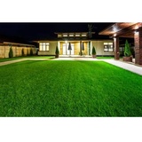 Profile Photos of 10X Turf Lawn Care Services