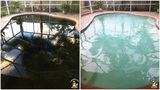  Chlorine King Pool Service 11125 Park Blvd N, Suite 104-170 