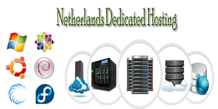  Profile Photos of Netherlands VPS Server Netherlnads - Photo 5 of 5