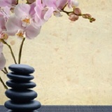 DTM Massage Therapy, Calgary