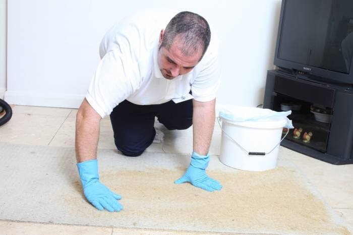 Dry Carpet Cleaning Profile Photos of Carpet Cleaning Shepherds Bush 116 Goldhawk Rd - Photo 5 of 5