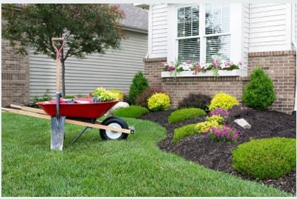  Profile Photos of Mendoza Landscaping Columbia SC 1510 Bluff Rd - Photo 3 of 5