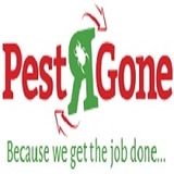 Profile Photos of pestrgone - Cockroach Control Toronto