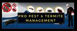 Good Pest Control in Horningsea Park, Horningsea Park