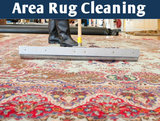 Our Services of Cleanest Carpet