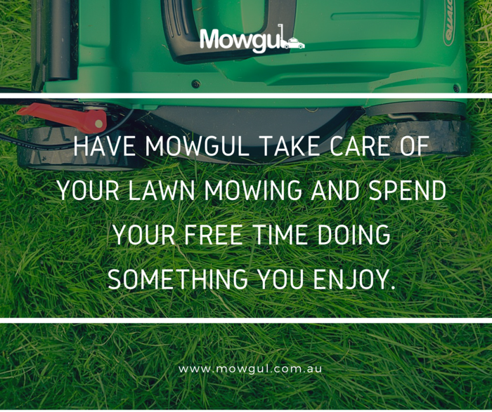 Whether you are looking for a once off lawn mowing service, or an ongoing lawn mowing person, Mowgul can help you. We are well known in the Hills District as reliable and a cut above the rest. Call us today on 0473 335 110. Profile Photos of Lawn Mowgul 3 Sebastian Dr - Photo 4 of 4