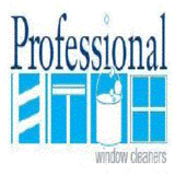 Profile Photos of Professional Window Cleaners