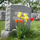 Carto Funeral Home, Inc., Philadelphia
