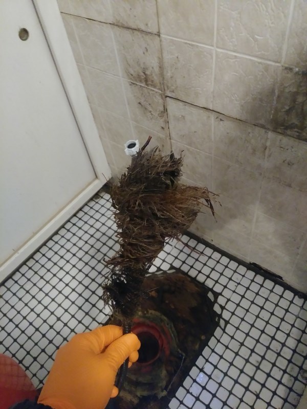 water jet drain cleaner Natick MA Profile Photos of JBL Drain Specialist 30 Farwell St - Photo 110 of 111