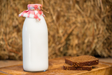 New Album of Farm Fresh Organic Milk