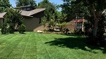 Profile Photos of Bare Foot Turf - Lawn Care - Weed Control - Edmond OK