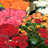 Winchester Florists, Winchester