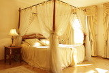 Residence Green Lobster - Honeymoon Suite Garzotto Hotels & Resorts Spálená 90/17 