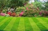 Profile Photos of Mighty Green Lawn Care