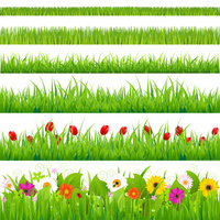 Big Grass And Flower Set, Isolated On White Background, Vector Illustration Profile Photos of Jacqueline Steele Beauty Studios 42 Alexandra Road - Photo 2 of 4
