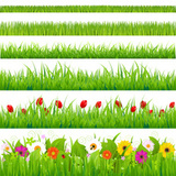 Big Grass And Flower Set, Isolated On White Background, Vector Illustration