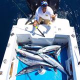 Profile Photos of Ecuagringo - Marlin and Tuna Fishing