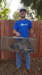 Profile Photos of All Star Animal Trapping