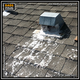  Dad's Dryer Vent Cleaning 8089 209 St 