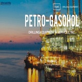 PETRO-GASOHOL DRILLING EQUIPMENT & SERVICES, INC., Hockley