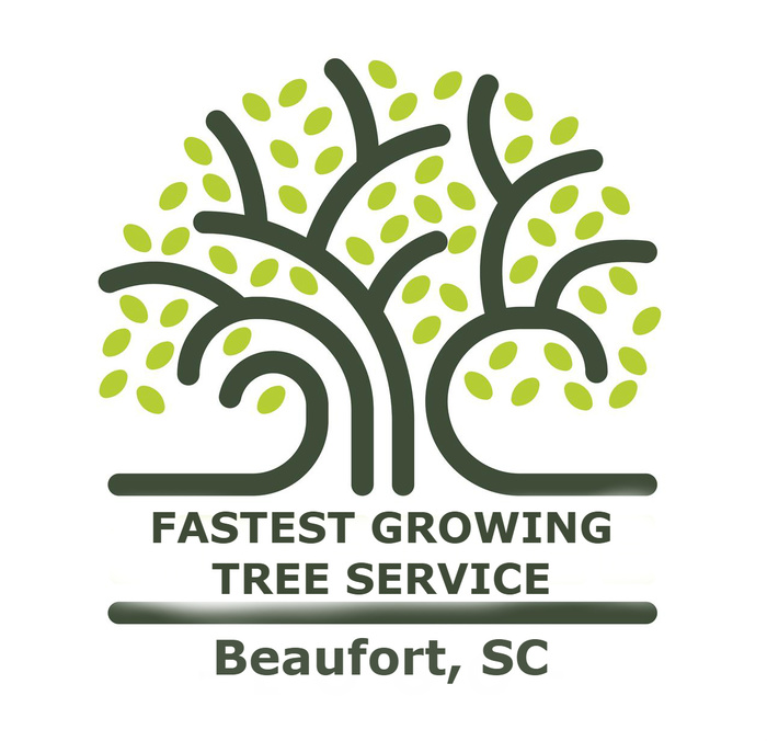  Profile Photos of DOSS TREE SERVICE SOUTH RILEY Raleigh, NC, 27603 - Photo 1 of 1