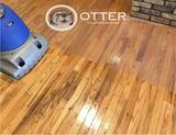 New Album of Otter Clean and Restore