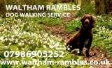 Waltham Rambles Dog Walking Service, Waltham, Grimsby