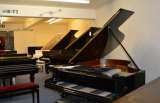 Profile Photos of Shackleford Pianos