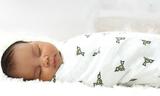 Profile Photos of baby luno