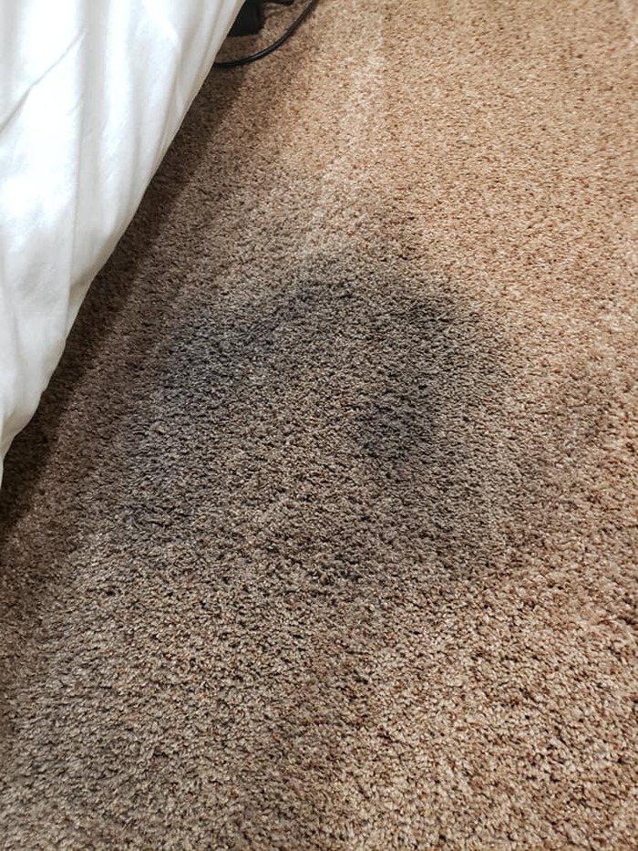  Profile Photos of Spotless Carpet Steam Cleaning 123 collins st - Photo 3 of 4