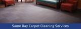 New Album of Carpet Cleaning Melbourne
