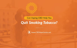 Most people who smoke would like to quit smoking but the percentage of those who permanently secede is about six percent.

To know more visit: https://www.lifehealthmax.com/can-vaping-cbd-help-you-quit-smoking-tobacco