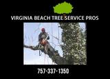 Profile Photos of Virginia Beach Tree Service Pros