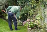 Gardening services in High Wycombe
