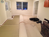 Carpet Cleaning Installation Tulip Cleaning Services 1029 E Grand St 