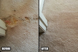 Carpet Repair in Maricopa, Carpet Cleaning Service In Maricopa AZ Creative Carpet Repair Denver Colorado 2735 Quarterland St 
