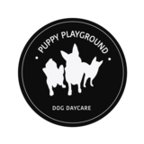 Puppy Playground, Zetland